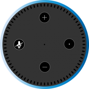 echo dot support